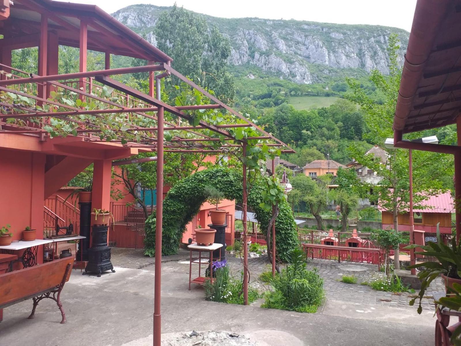 Pensiunea Belladonna Băile Herculane Exterior foto